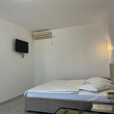 Alloggio in famiglia Octopus