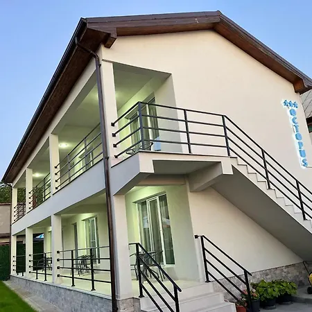 Vila Octopus Homestay *