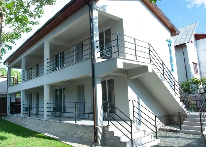 Octopus 南埃福列